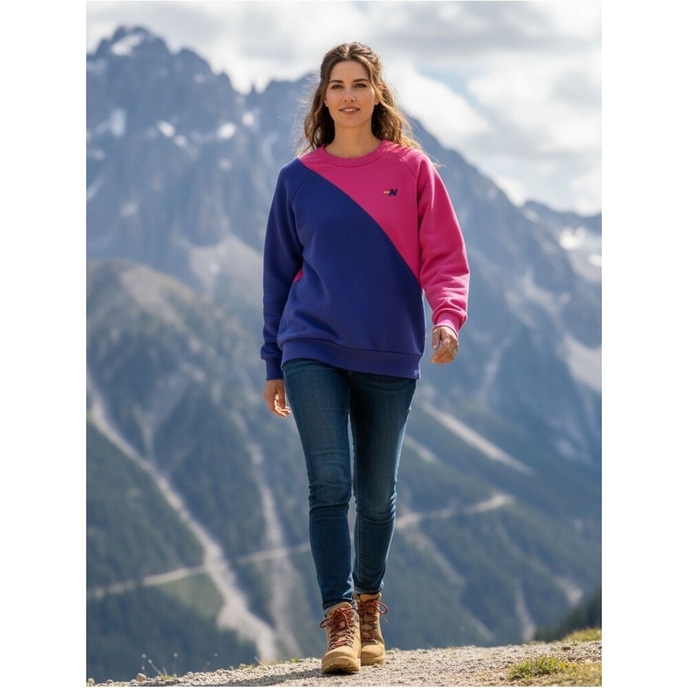 Vintage Aviator Nation Color block Sweatshirt